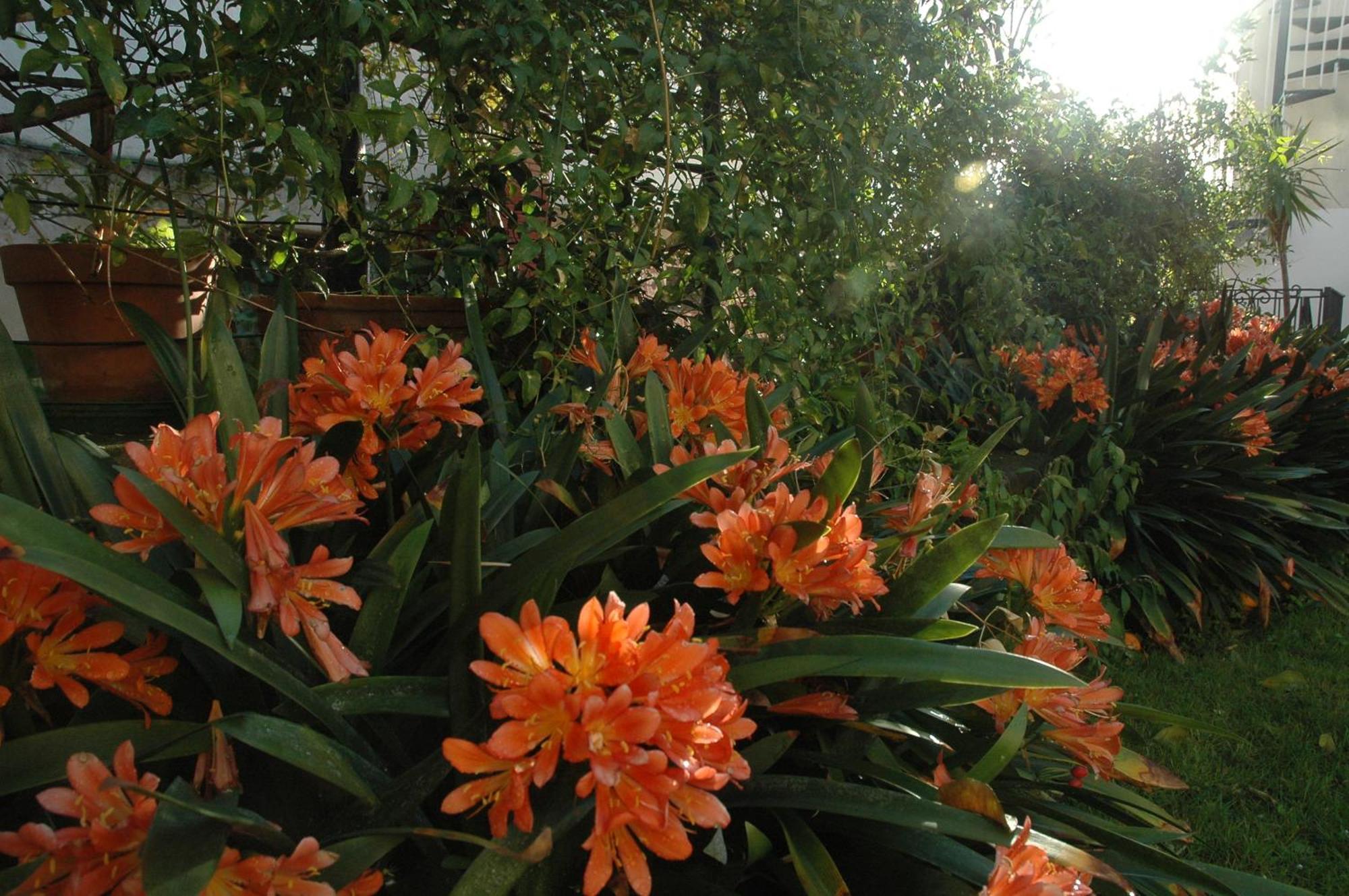 Апартаменты Il Giardino Dei Gigli Мета Экстерьер фото